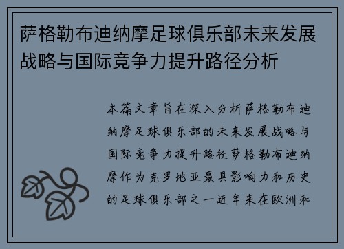 萨格勒布迪纳摩足球俱乐部未来发展战略与国际竞争力提升路径分析